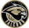 Liberty Lake Falcons